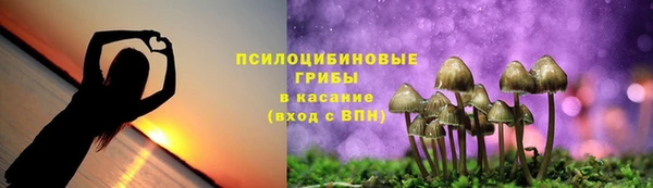 ECSTASY Бронницы
